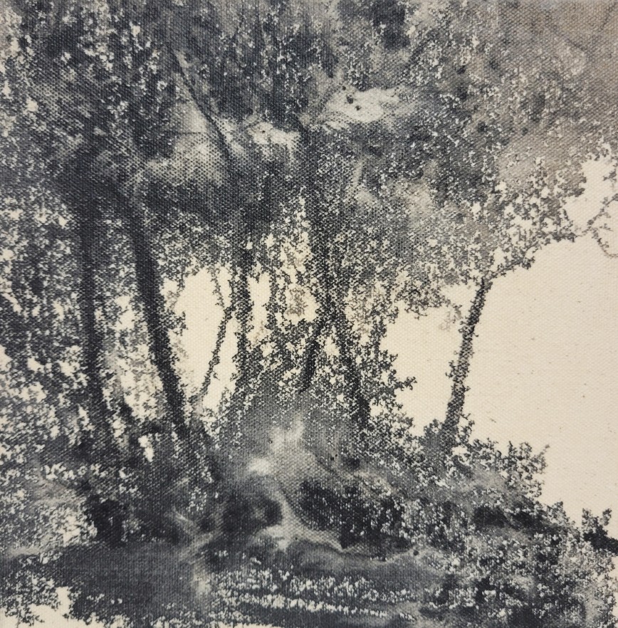 Wanderings of the Soul 1.4