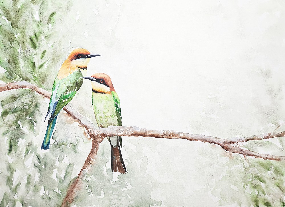 Limited Edition Greeting Card Pack, Set of 10 - Bee-eater Pair - Image 3
